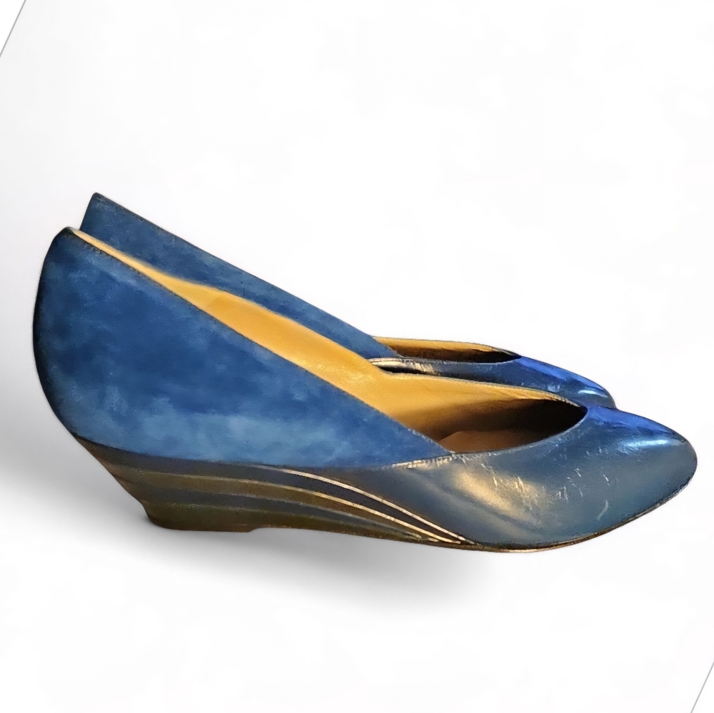 Elegant Blue Wedge Shoes